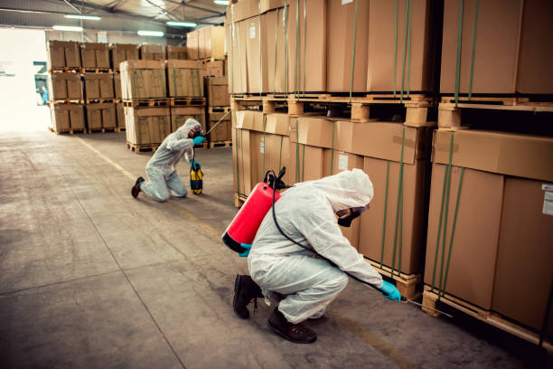 Pest Prevention Services in Lake Don Pedro, CA