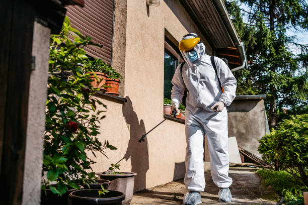 Reliable Lake Don Pedro, CA Pest Control Solutions