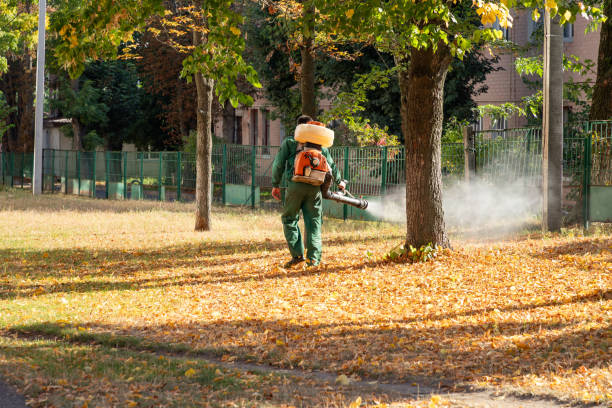 Best Pest Removal Services  in Lake Don Pedro, CA